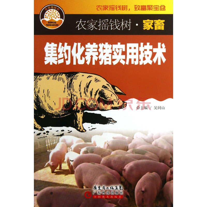 现代养猪技术：为生猪健康保驾护航